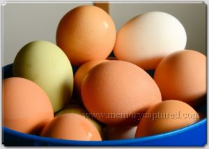 Eggs April 2013 (2).jpg